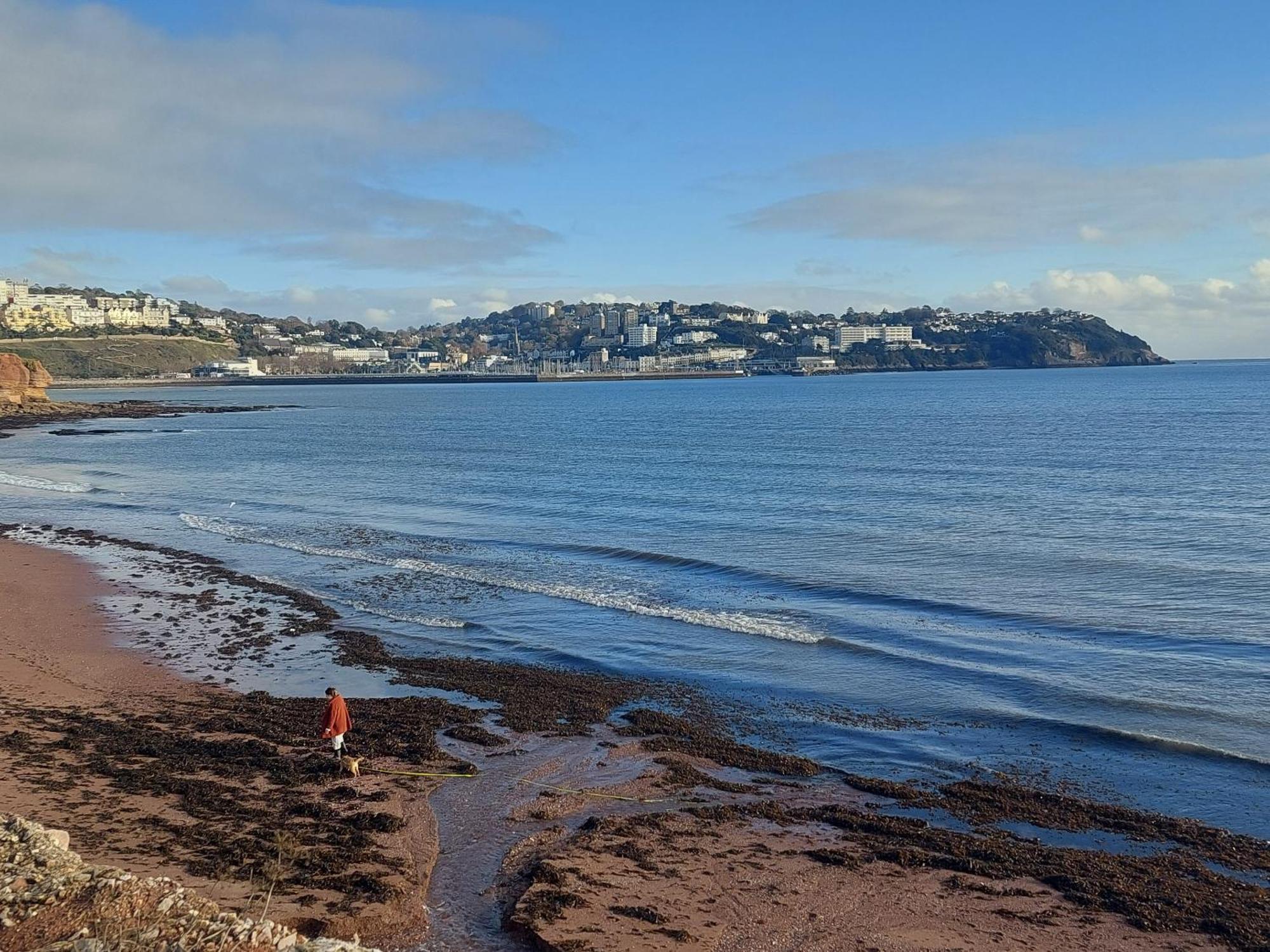 The Seaview Suites At The Corbyn Apartments Torquay Phòng bức ảnh